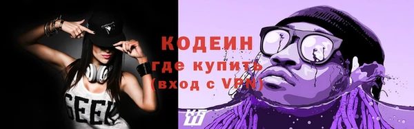 сатива Дмитриев