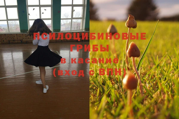 стафф Горнозаводск