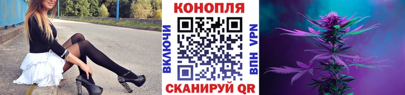 Шишки марихуана конопля  Гусь-Хрустальный 